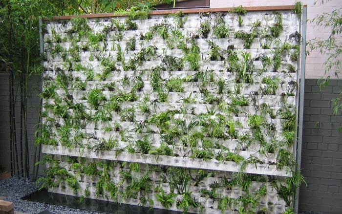 The green wall
